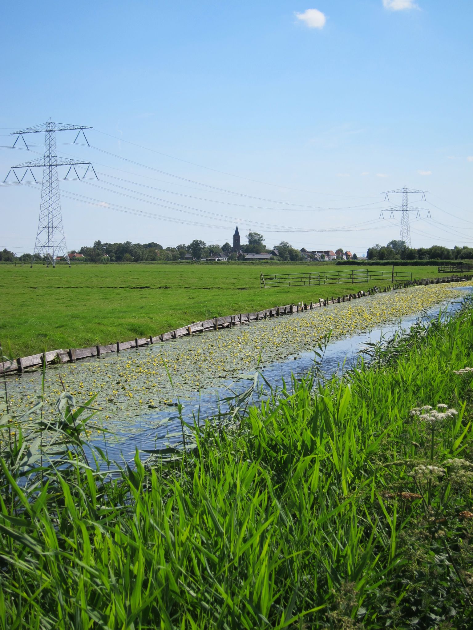 Photo 27 of 90 from the album Highlights Amsterdam 2012.