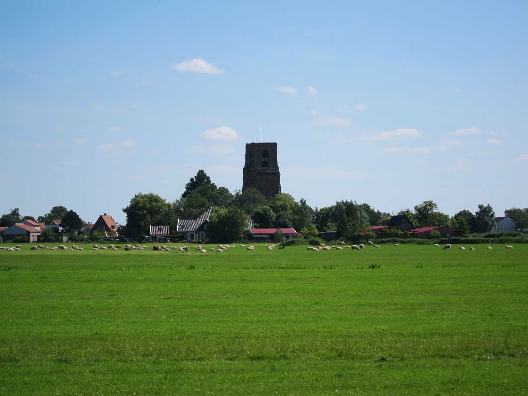 Photo 28 of 90 from the album Highlights Amsterdam 2012.