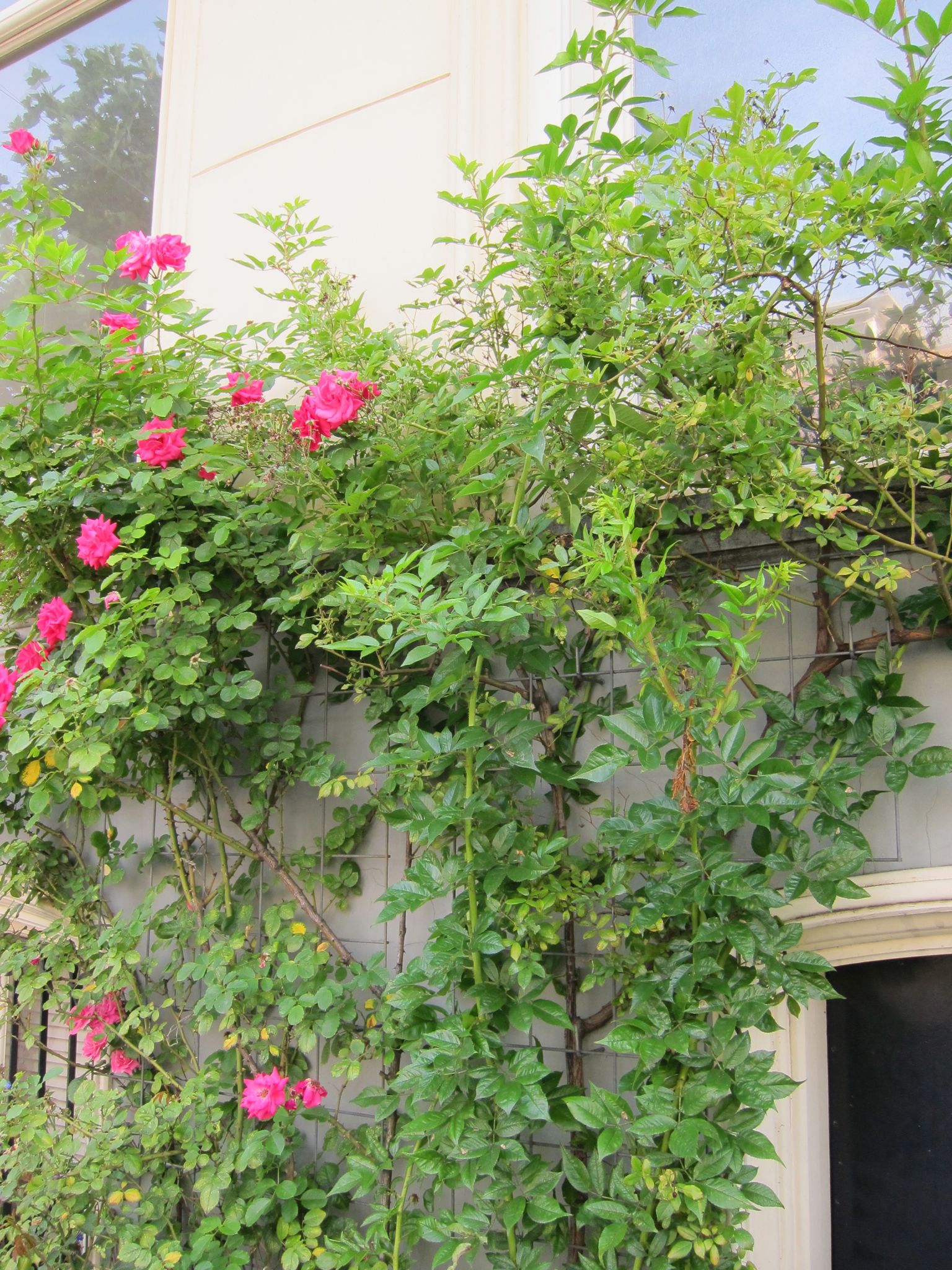 Photo 48 of 90 from the album Highlights Amsterdam 2012.