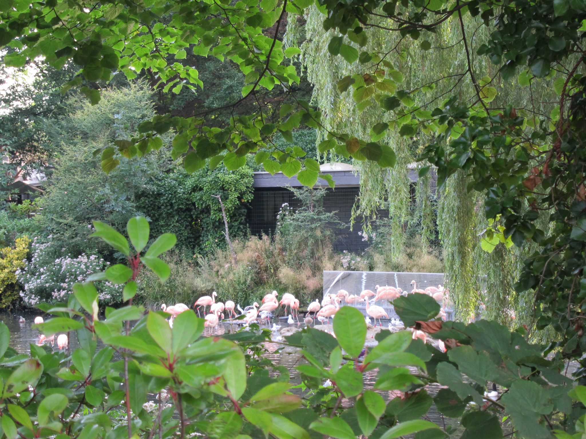 Photo 50 of 90 from the album Highlights Amsterdam 2012.