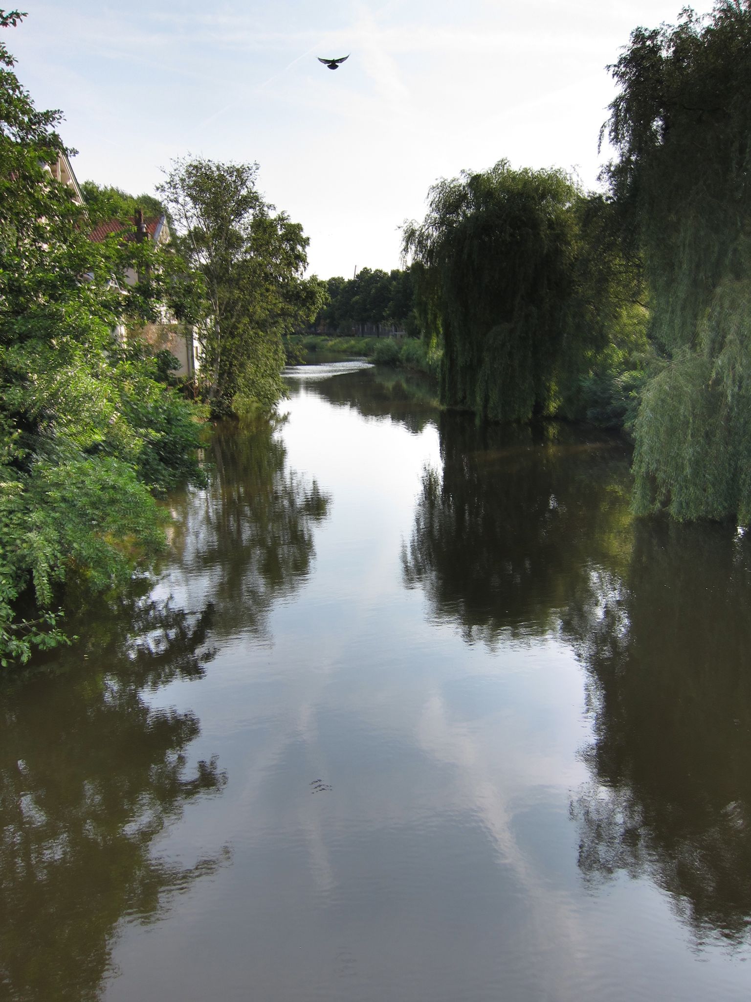 Photo 52 of 90 from the album Highlights Amsterdam 2012.