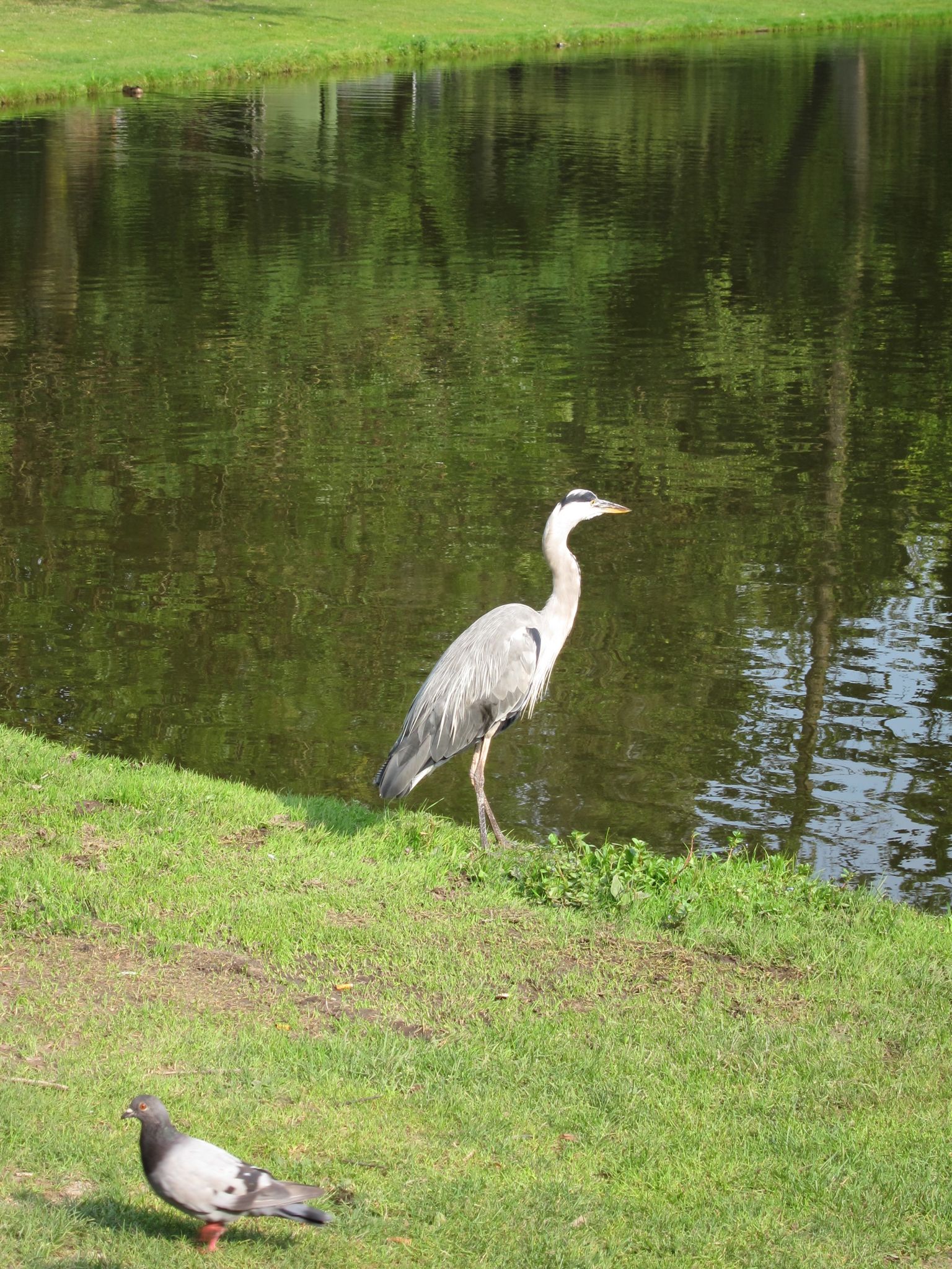 Photo 64 of 90 from the album Highlights Amsterdam 2012.