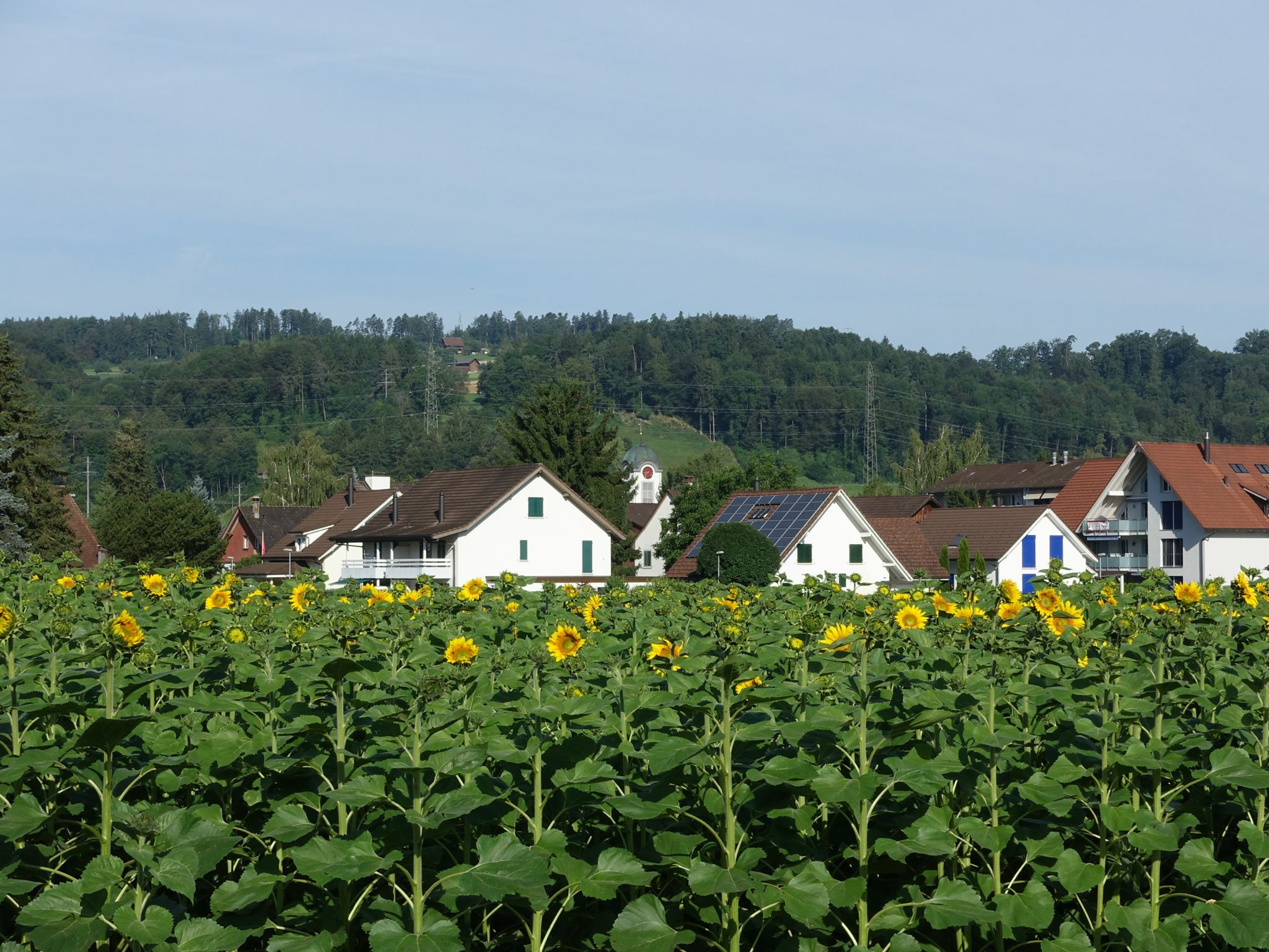 Photo 10 of 20 from the album Around Town.