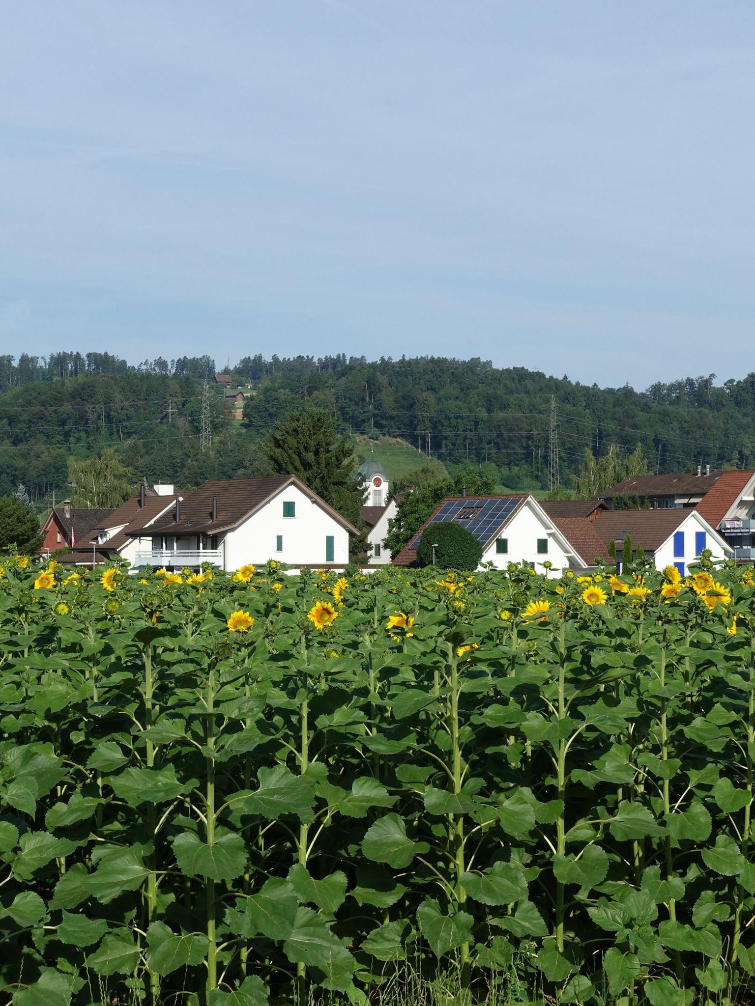 Photo 11 of 20 from the album Around Town.