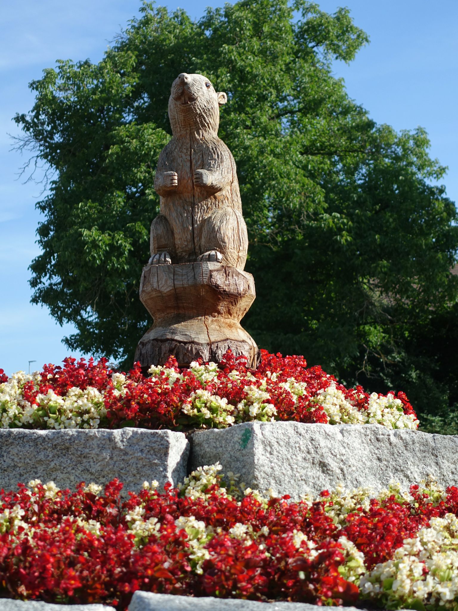 Photo 14 of 20 from the album Around Town.