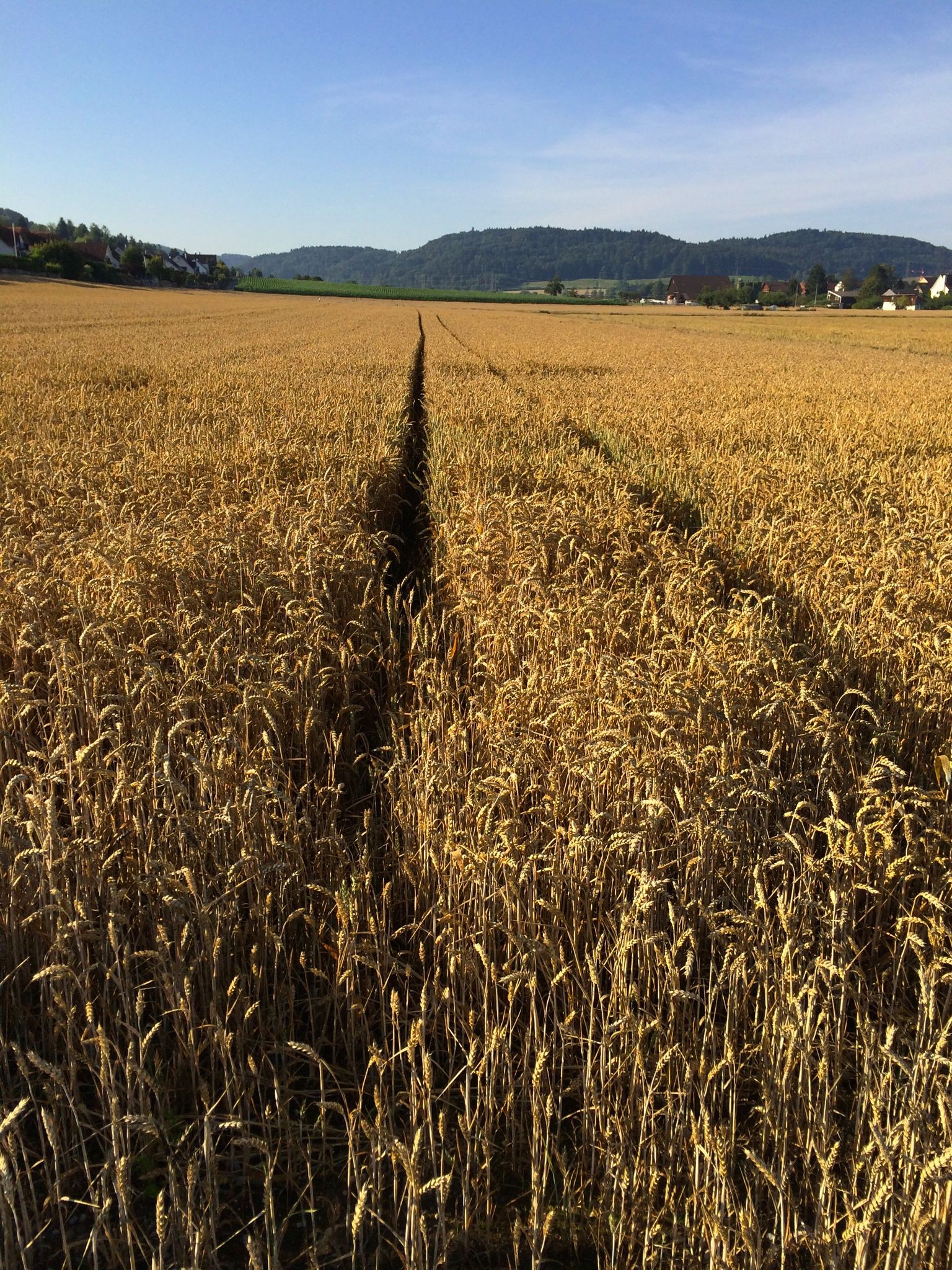 Photo 2 of 20 from the album Around Town.