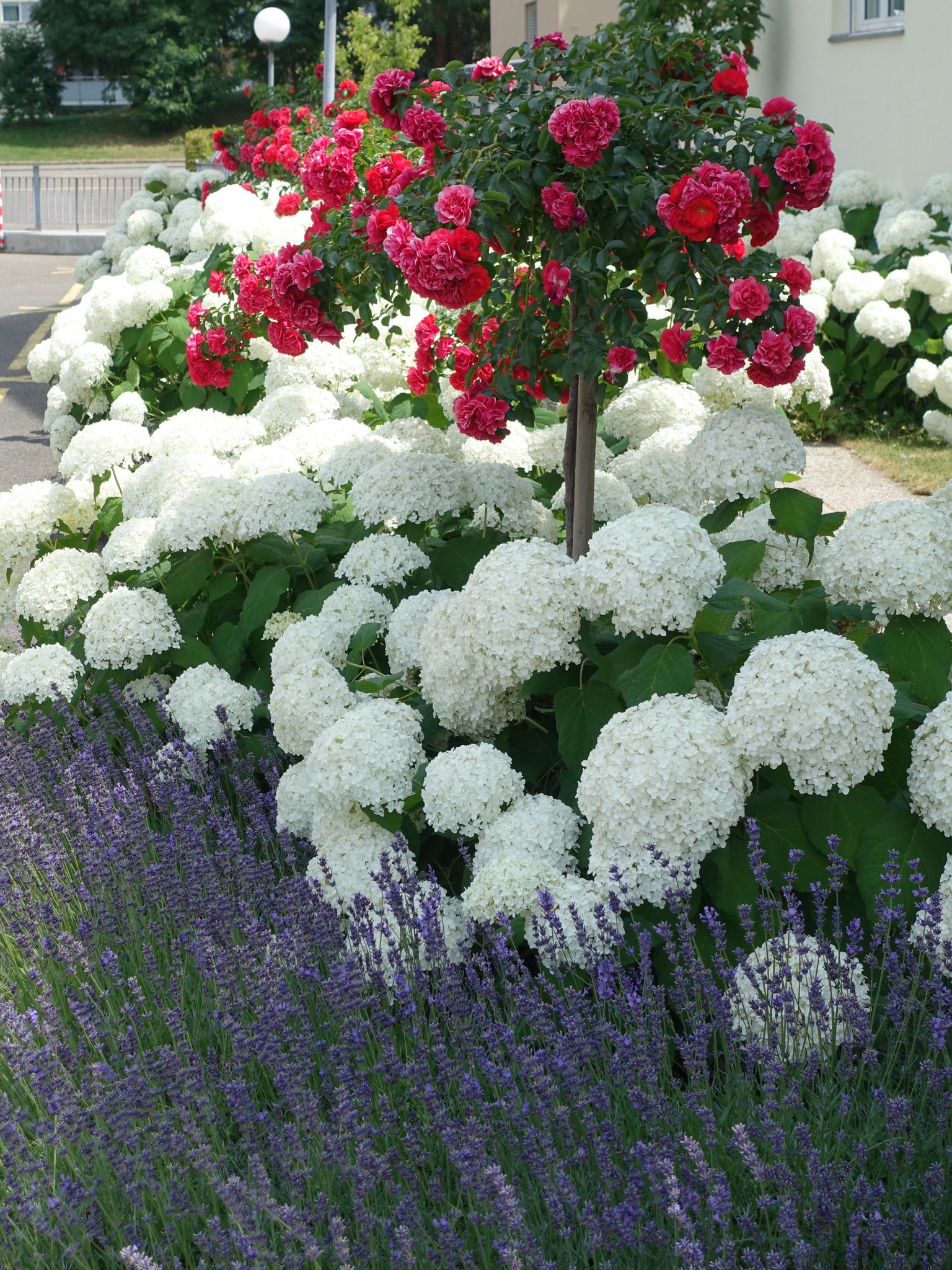 Photo 20 of 20 from the album Around Town.