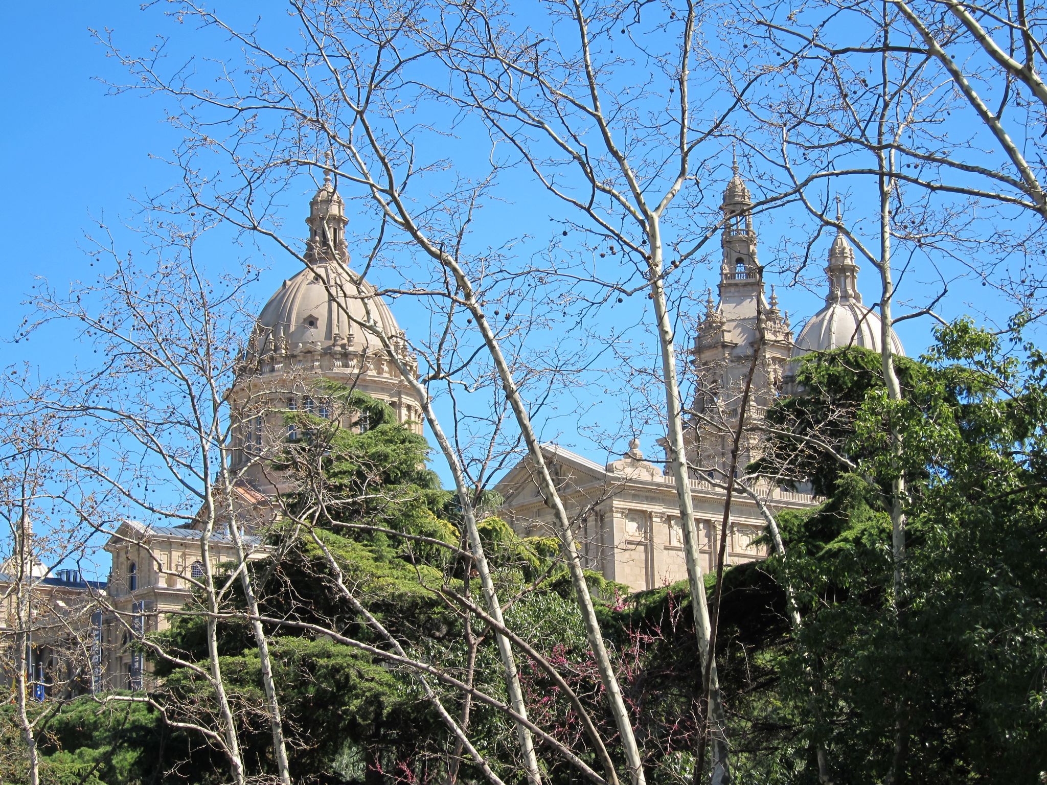 Photo 12 of 102 from the album Highlights Barcelona 2011.