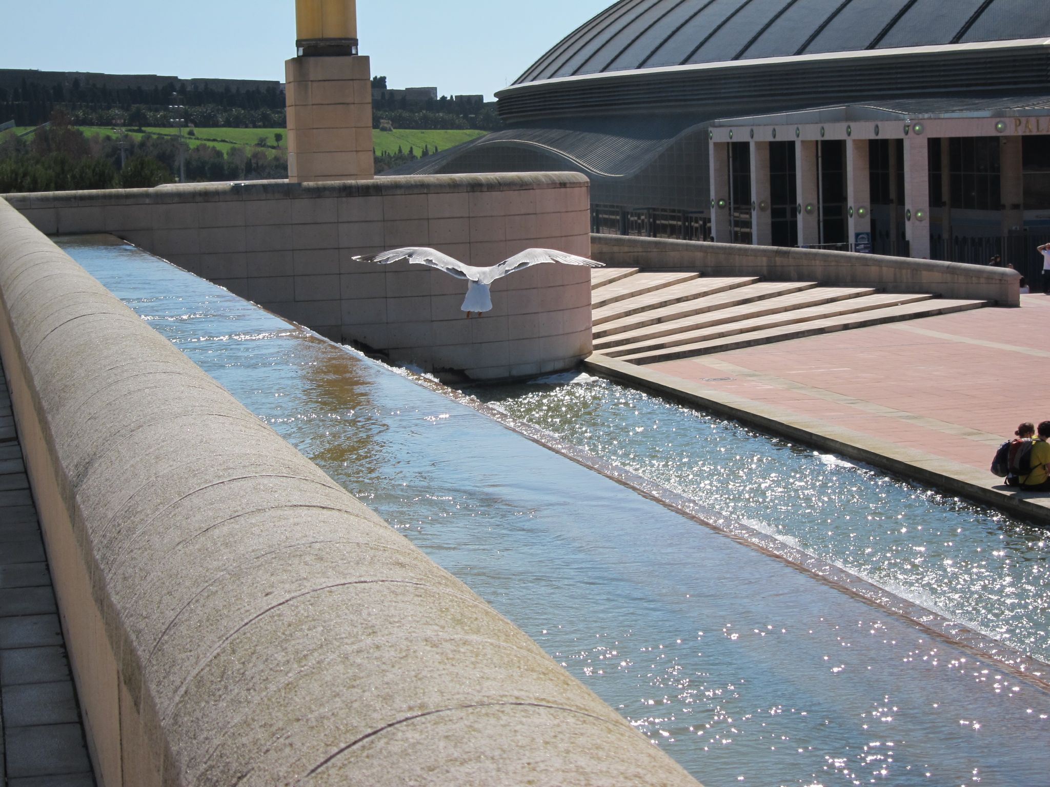 Photo 16 of 102 from the album Highlights Barcelona 2011.