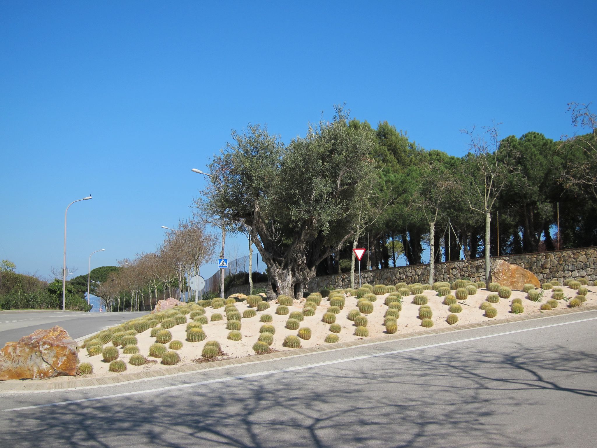 Photo 17 of 102 from the album Highlights Barcelona 2011.