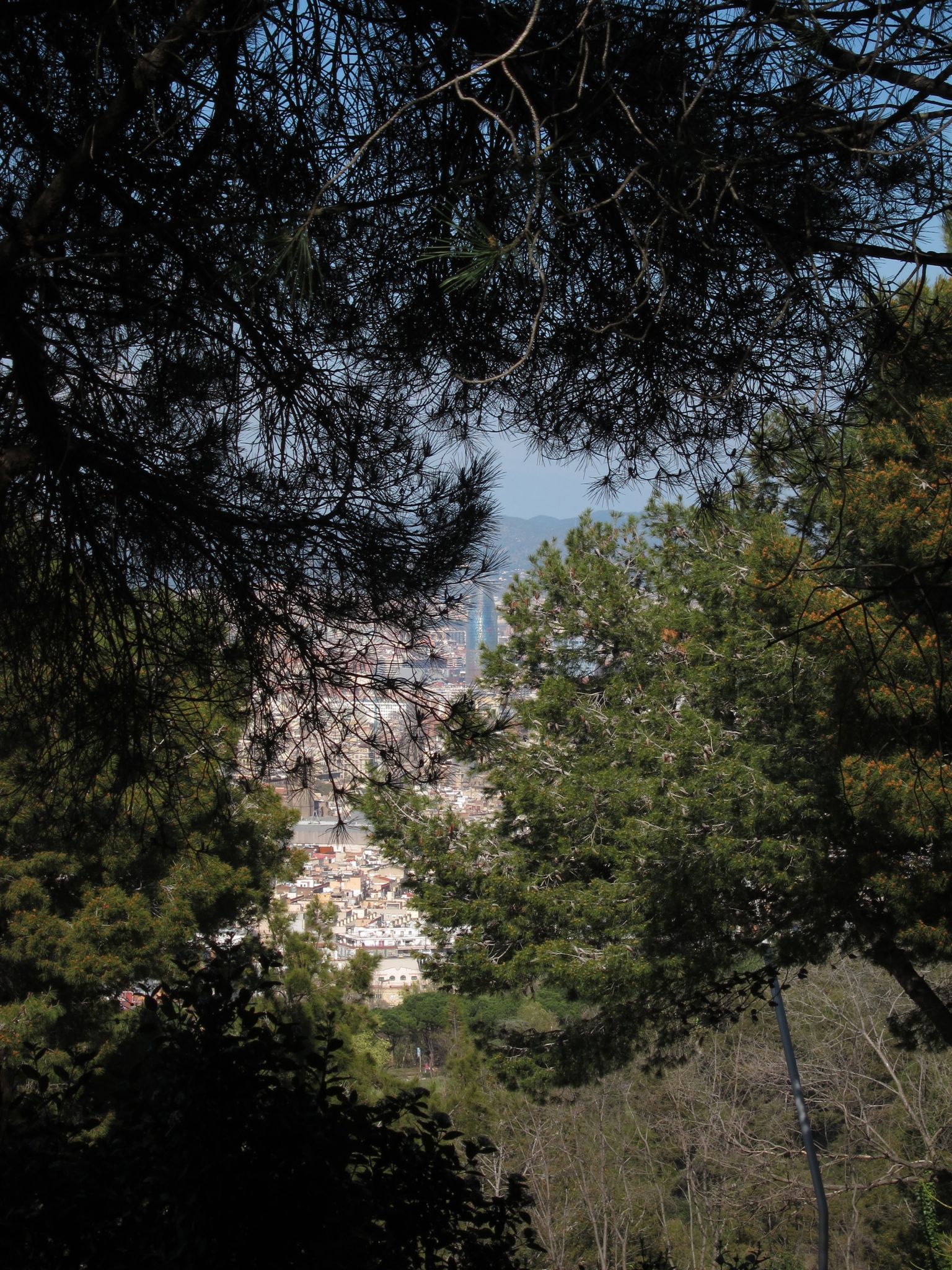 Photo 18 of 102 from the album Highlights Barcelona 2011.