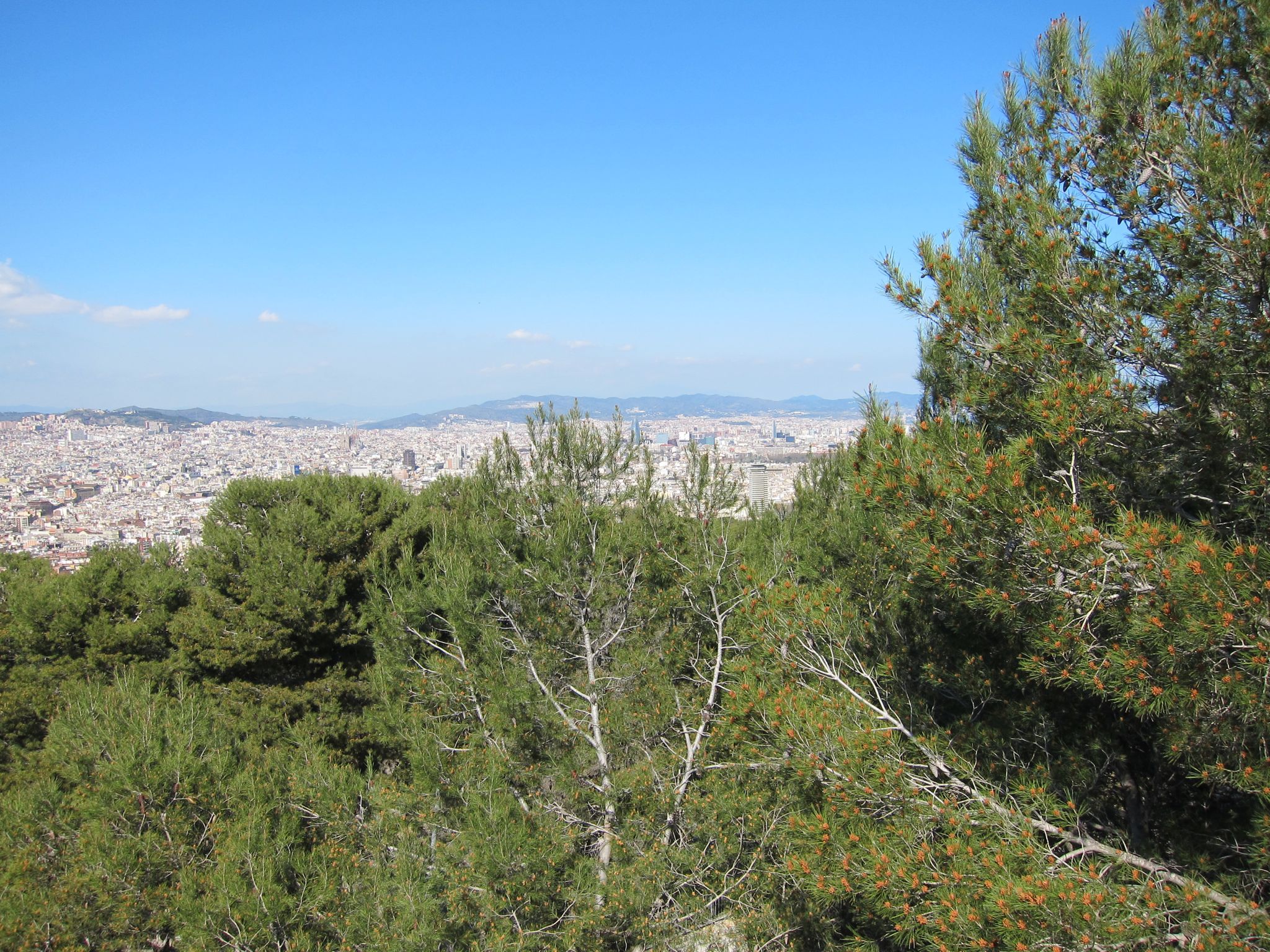 Photo 19 of 102 from the album Highlights Barcelona 2011.