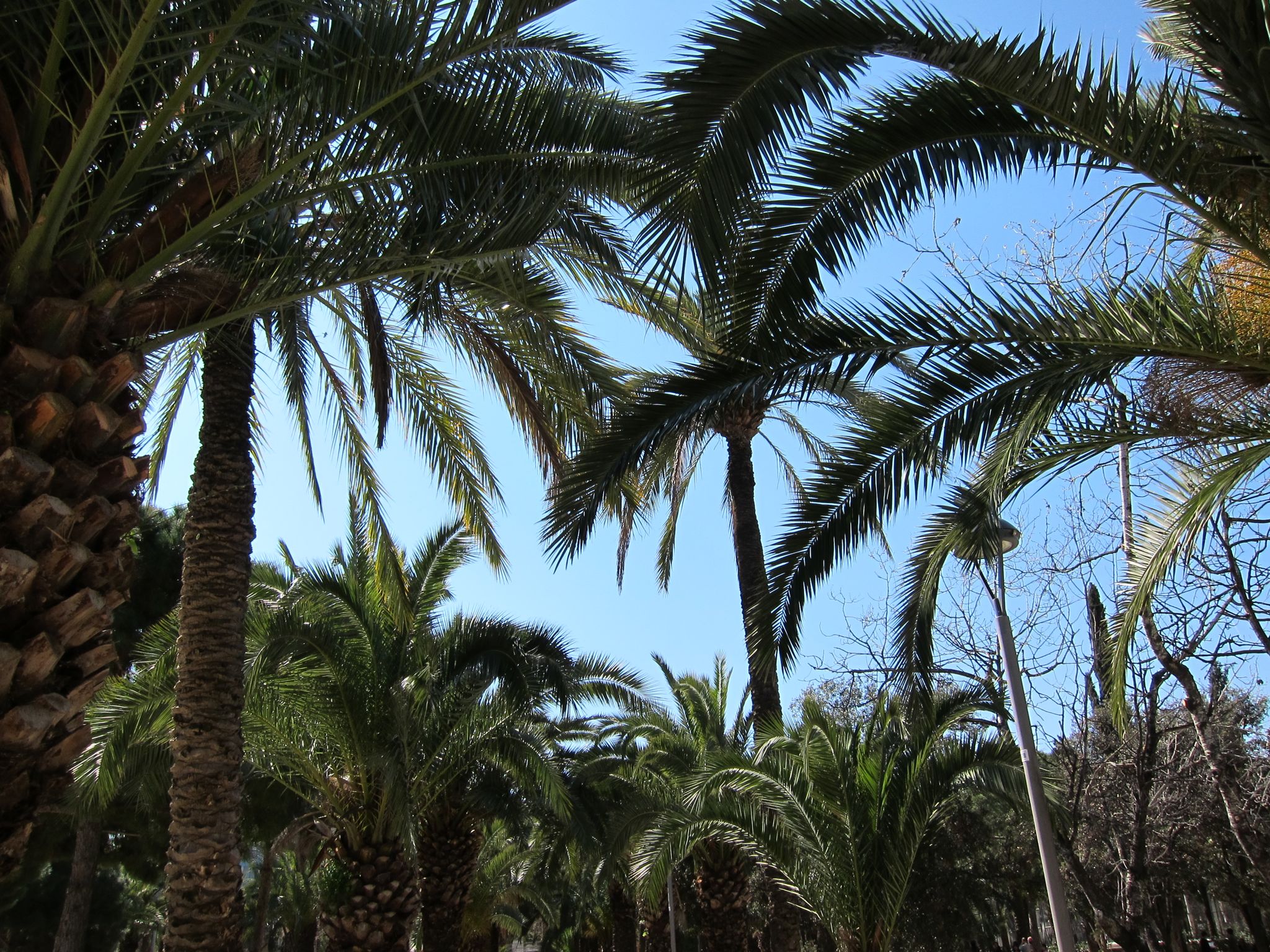 Photo 2 of 102 from the album Highlights Barcelona 2011.