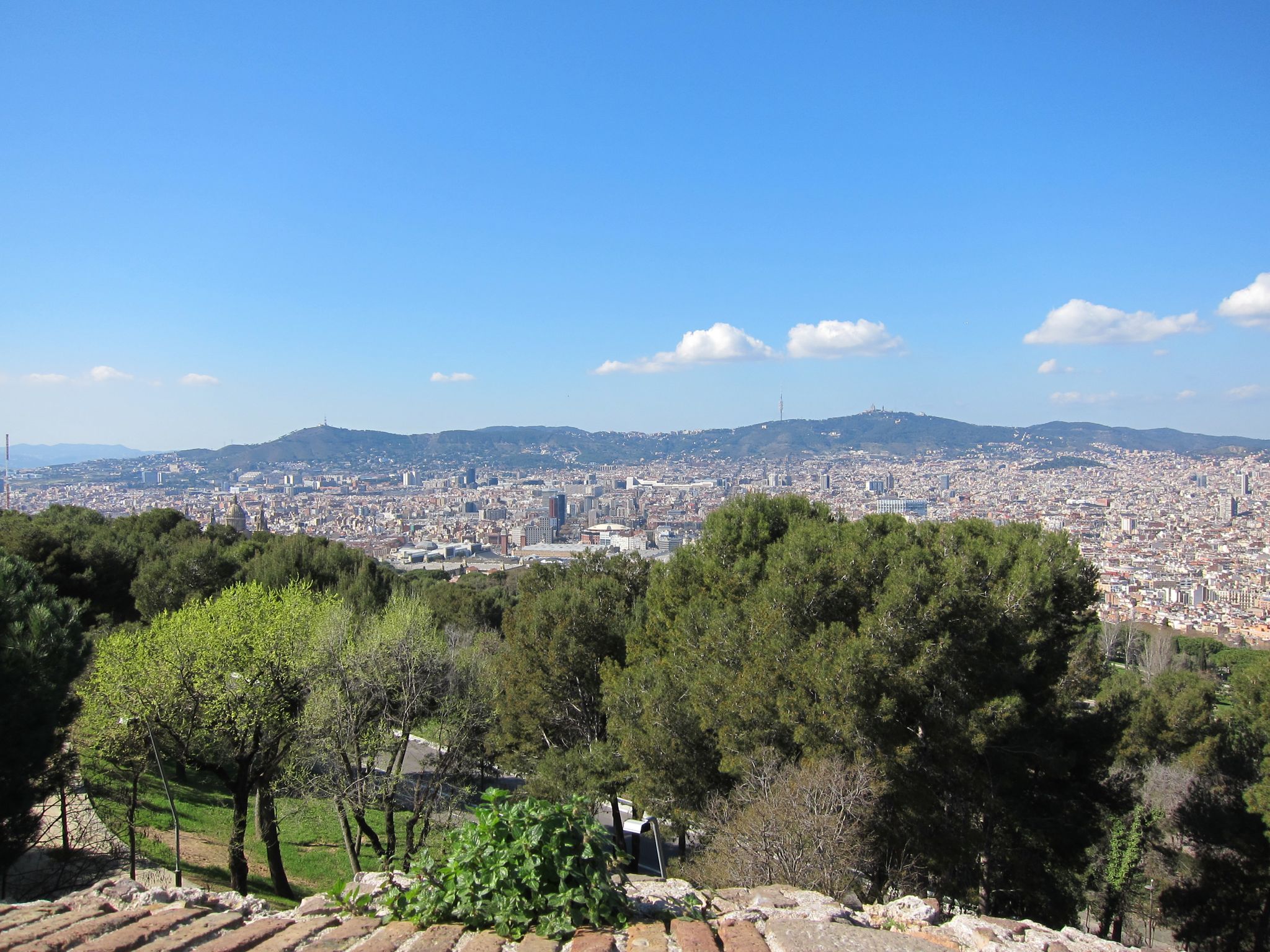 Photo 22 of 102 from the album Highlights Barcelona 2011.