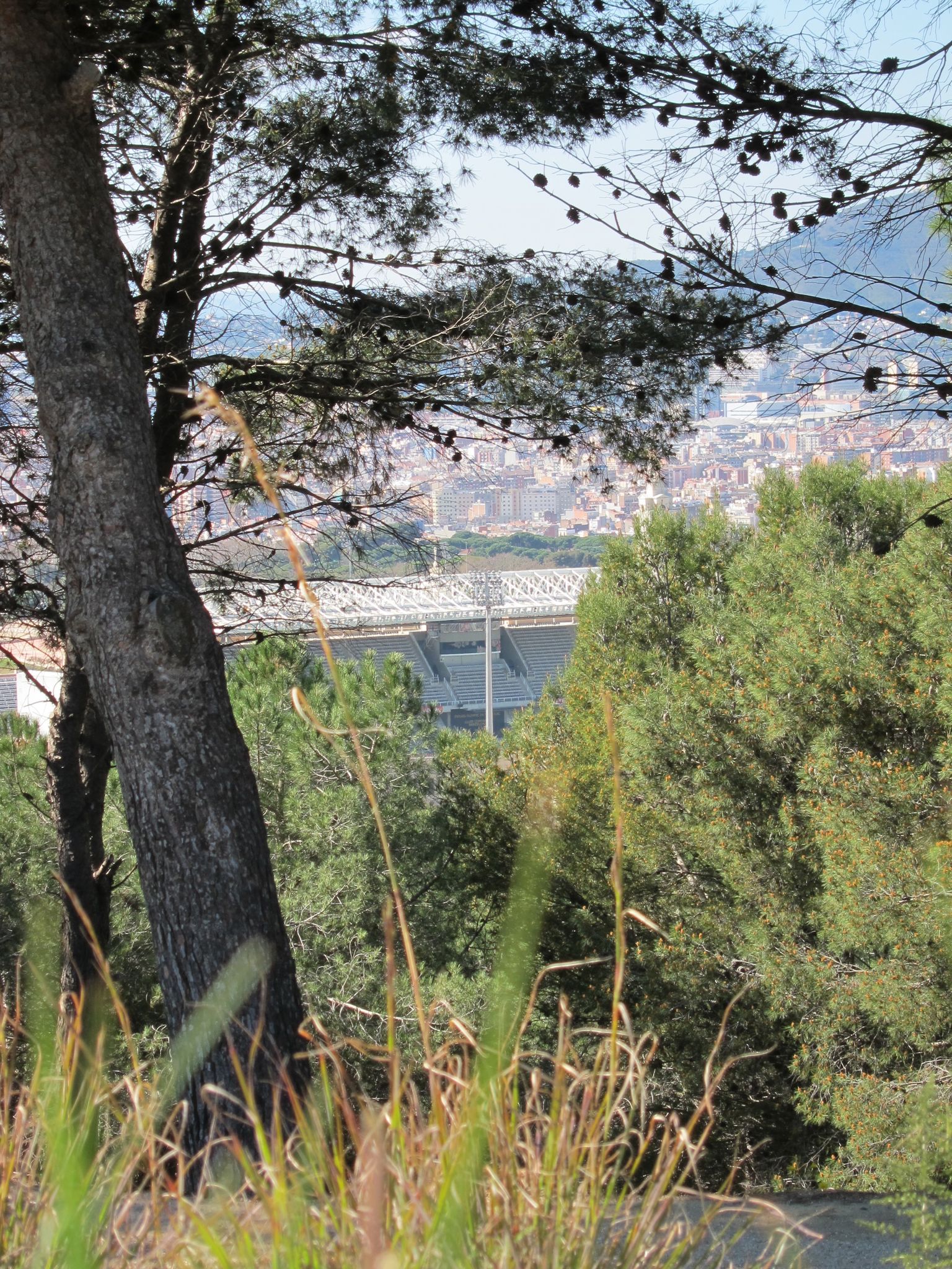 Photo 26 of 102 from the album Highlights Barcelona 2011.