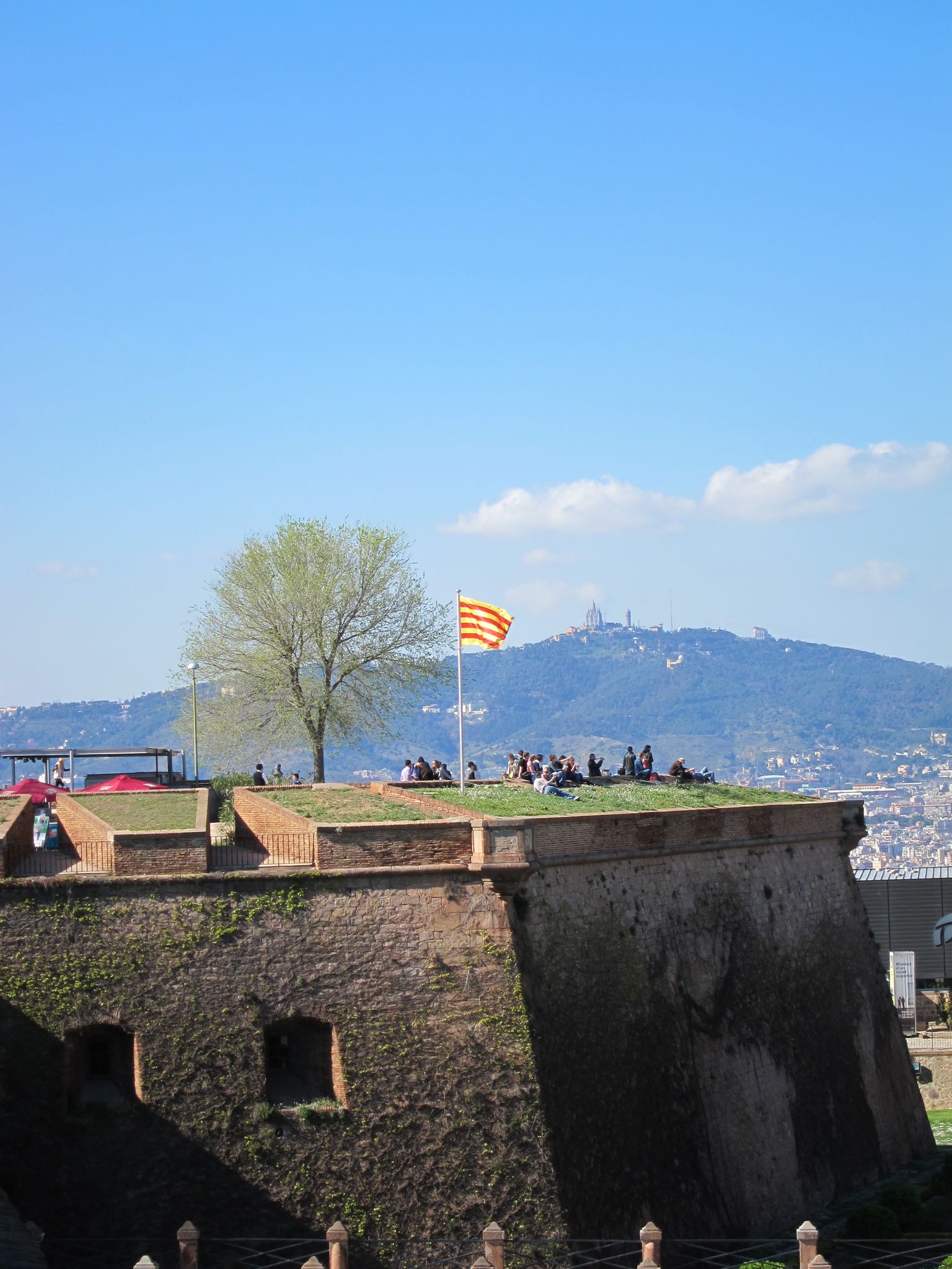 Photo 37 of 102 from the album Highlights Barcelona 2011.