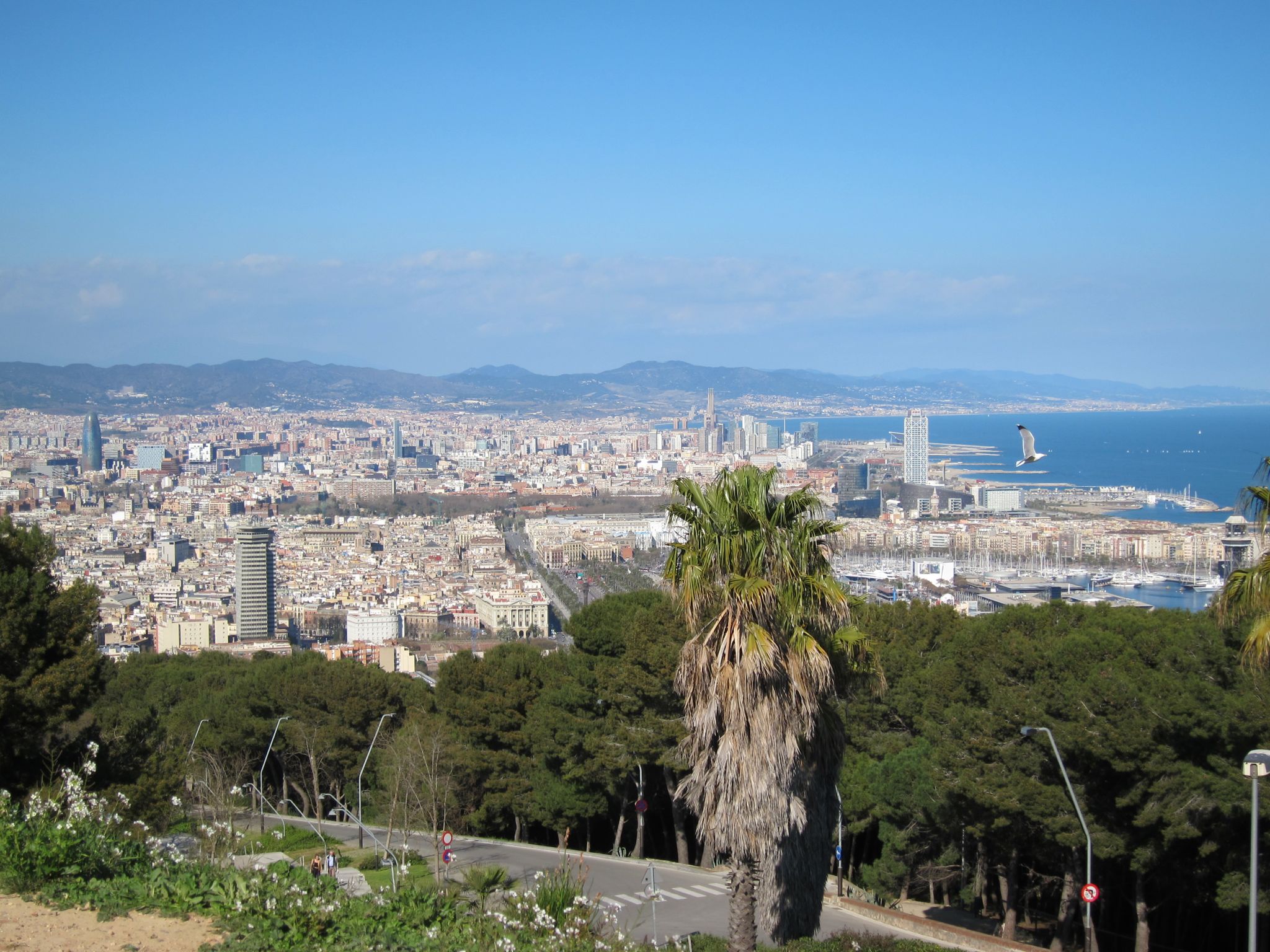 Photo 42 of 102 from the album Highlights Barcelona 2011.