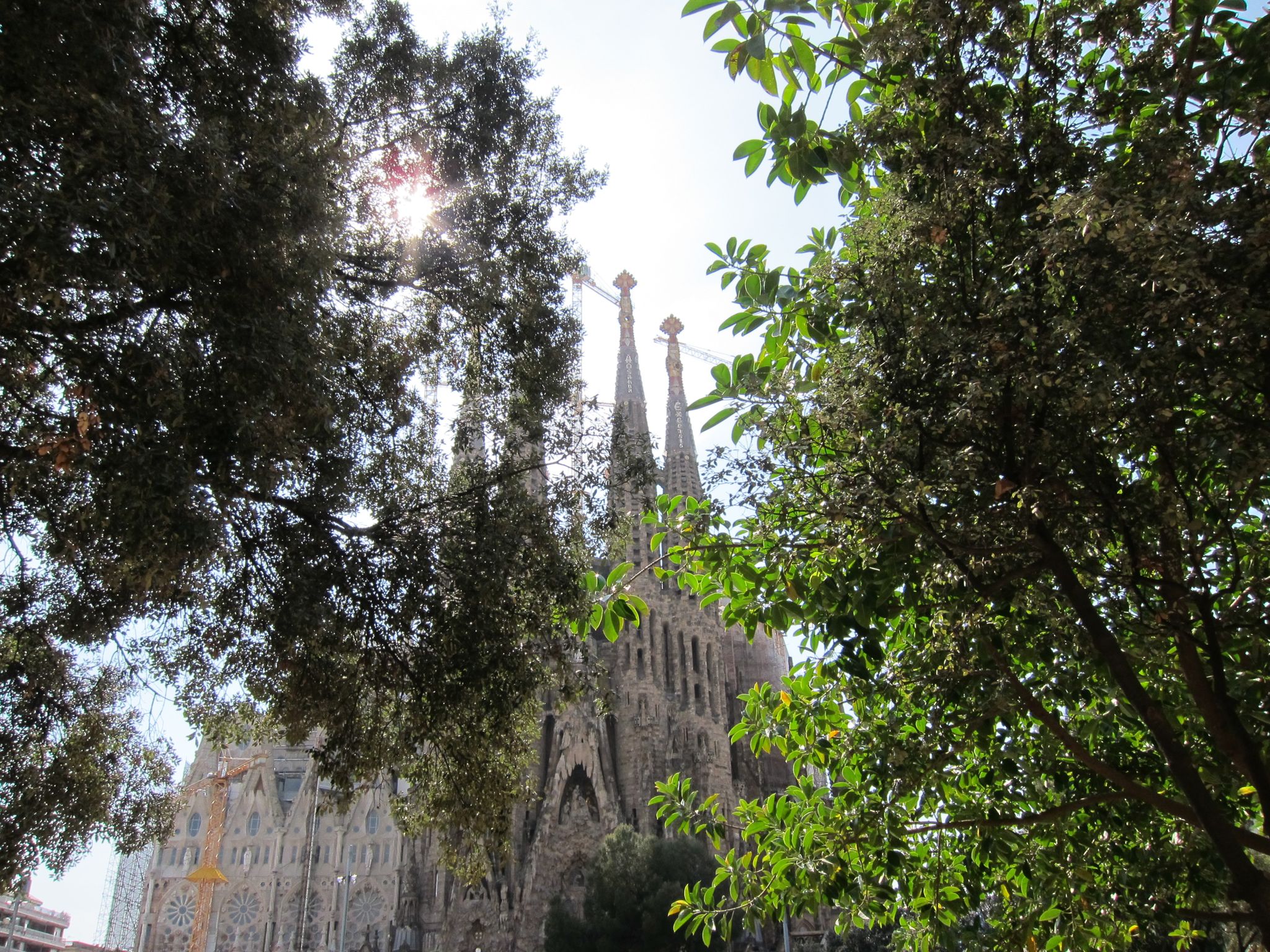 Photo 78 of 102 from the album Highlights Barcelona 2011.