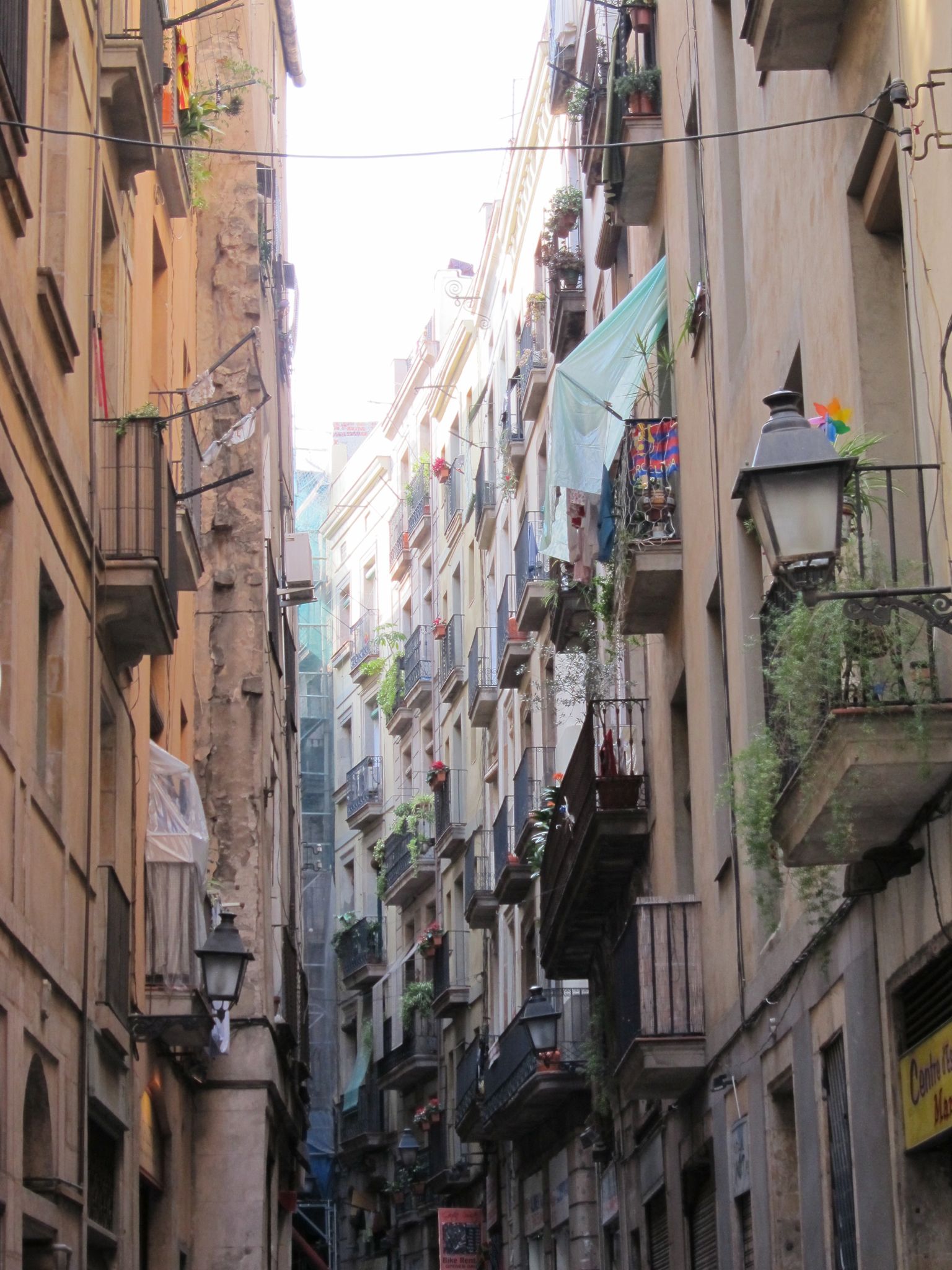 Photo 96 of 102 from the album Highlights Barcelona 2011.