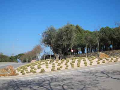 Thumbnail 17 of 102.