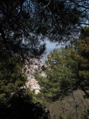 Thumbnail 18 of 102.