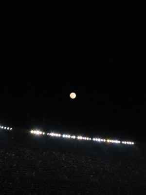 Thumbnail 66 of 102.