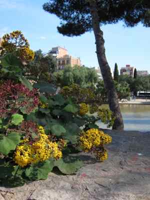 Thumbnail 77 of 102.