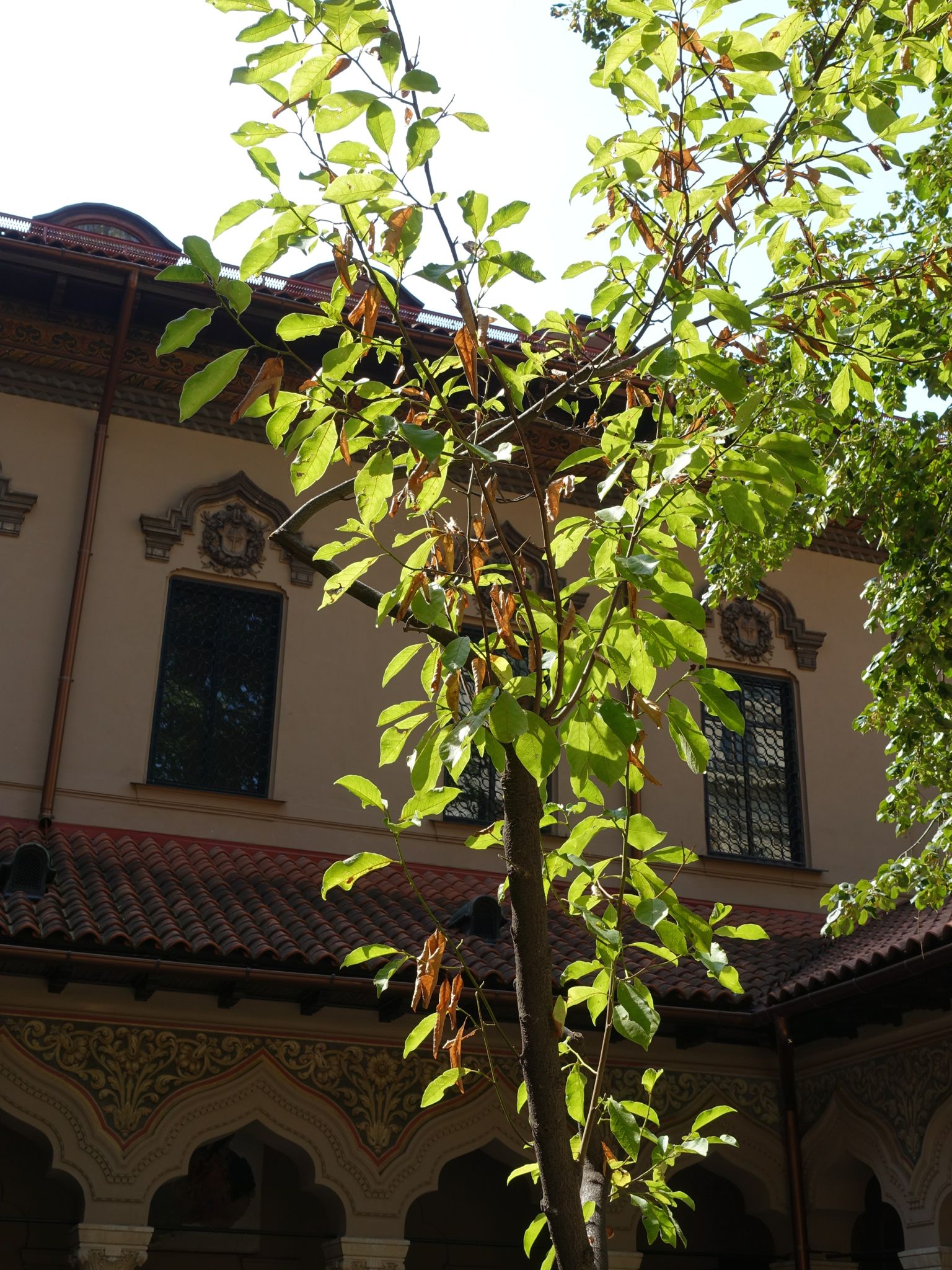 Photo 114 of 133 from the album Highlights Bucharest 2014.