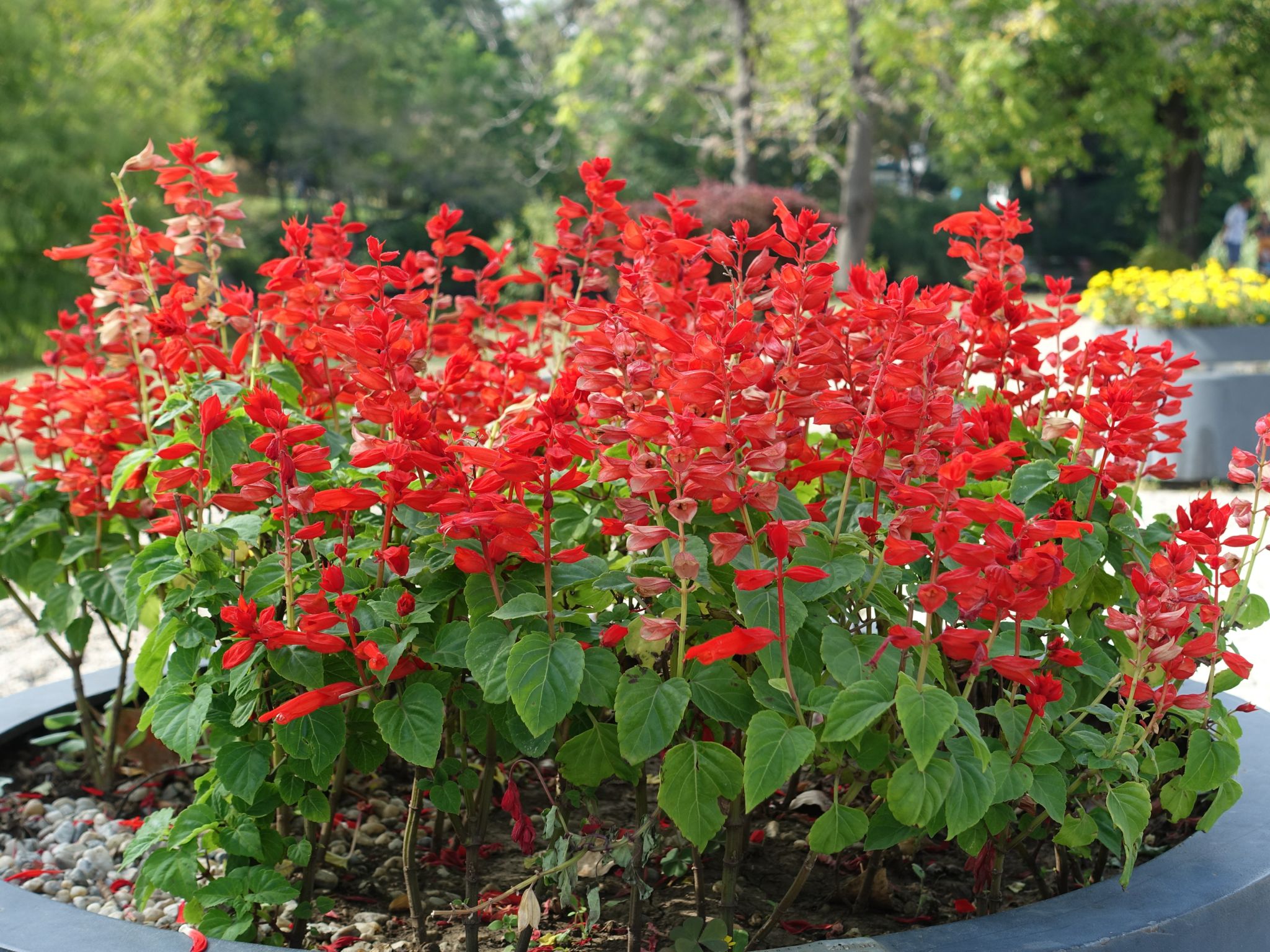 Photo 13 of 133 from the album Highlights Bucharest 2014.