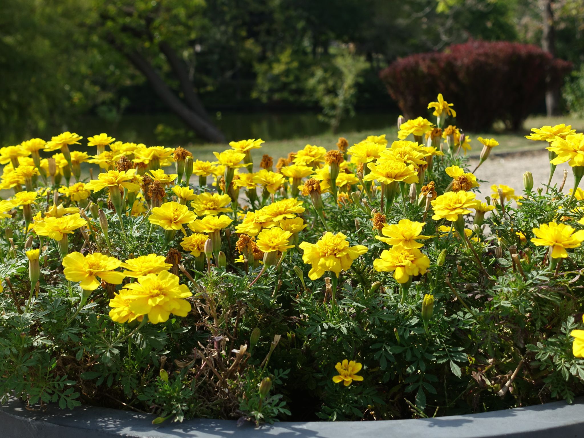 Photo 14 of 133 from the album Highlights Bucharest 2014.