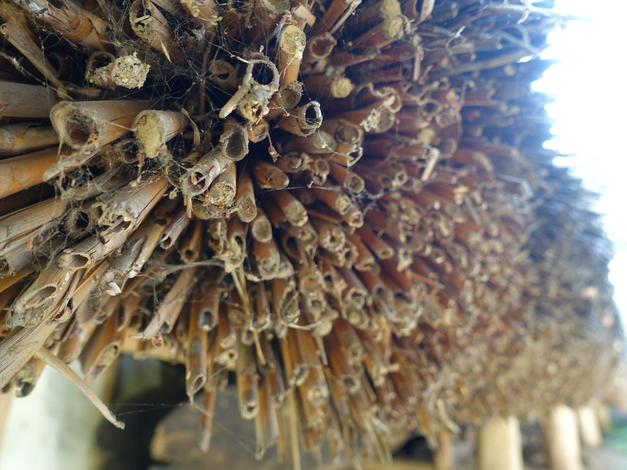 Photo 17 of 133 from the album Highlights Bucharest 2014.