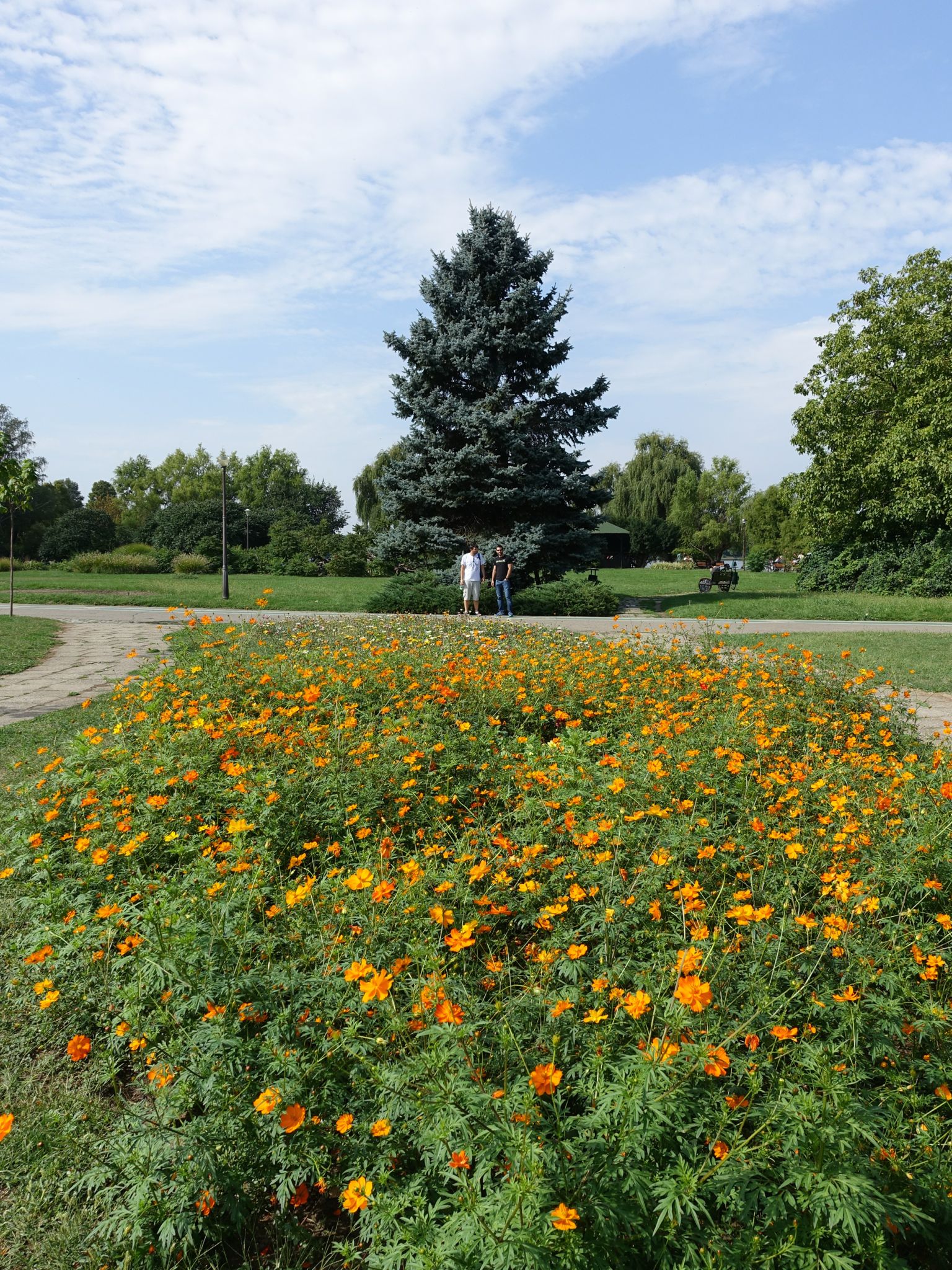 Photo 9 of 133 from the album Highlights Bucharest 2014.