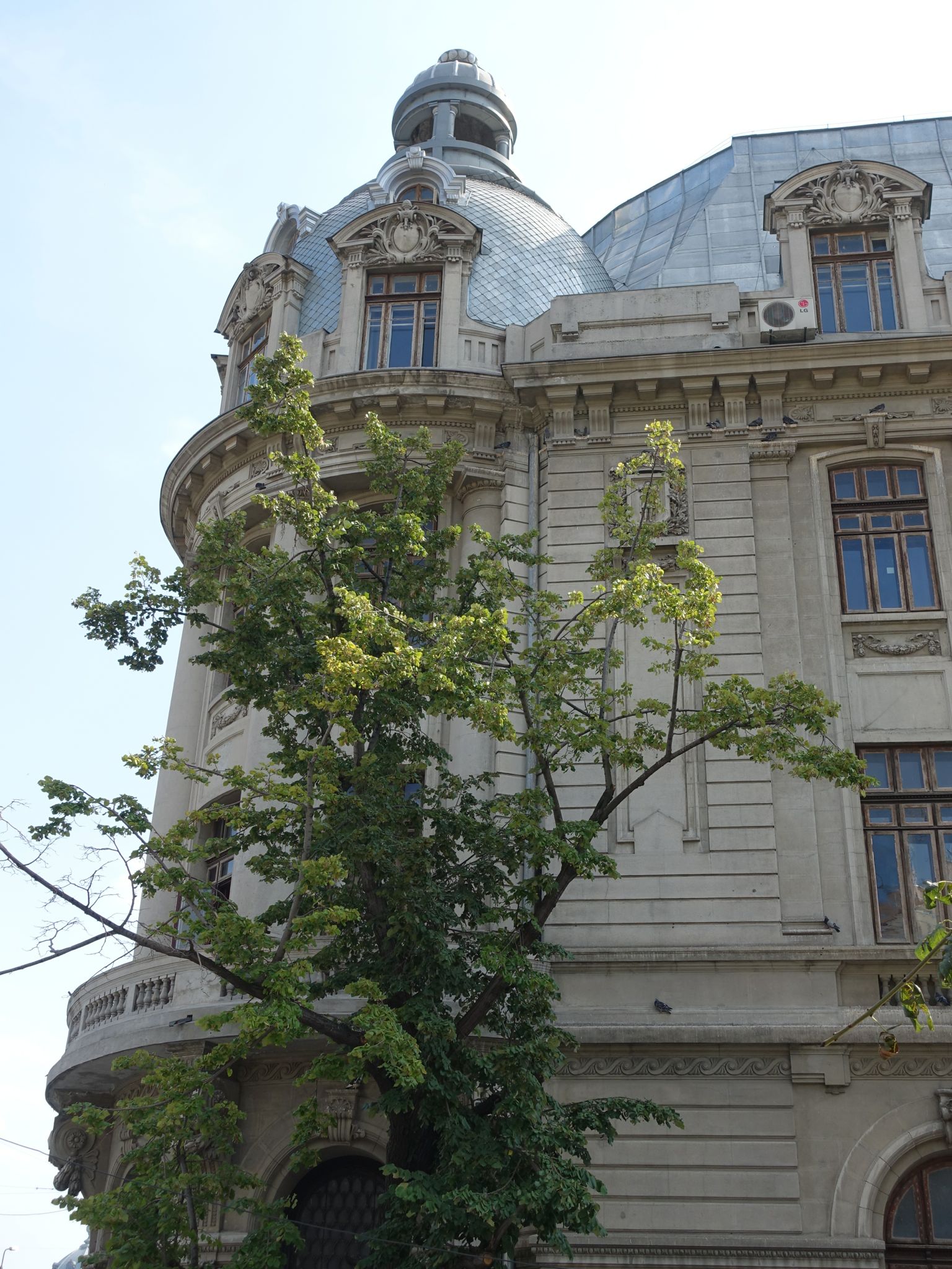 Photo 93 of 133 from the album Highlights Bucharest 2014.