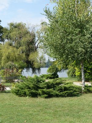 Thumbnail 12 of 133.