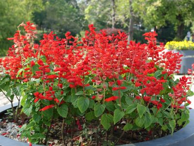 Thumbnail 13 of 133.