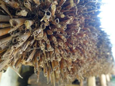 Thumbnail 17 of 133.