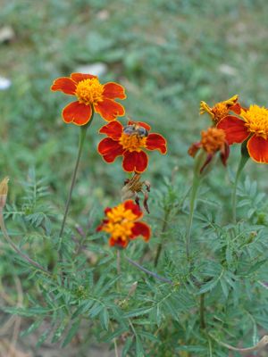 Thumbnail 20 of 133.