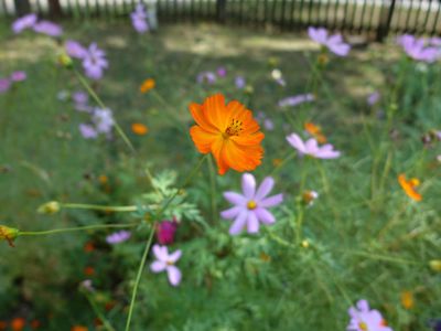 Thumbnail 21 of 133.