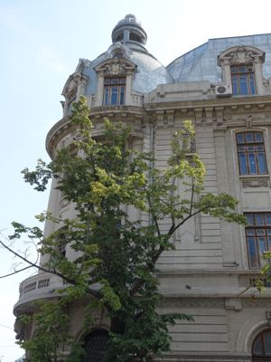 Thumbnail 93 of 133.