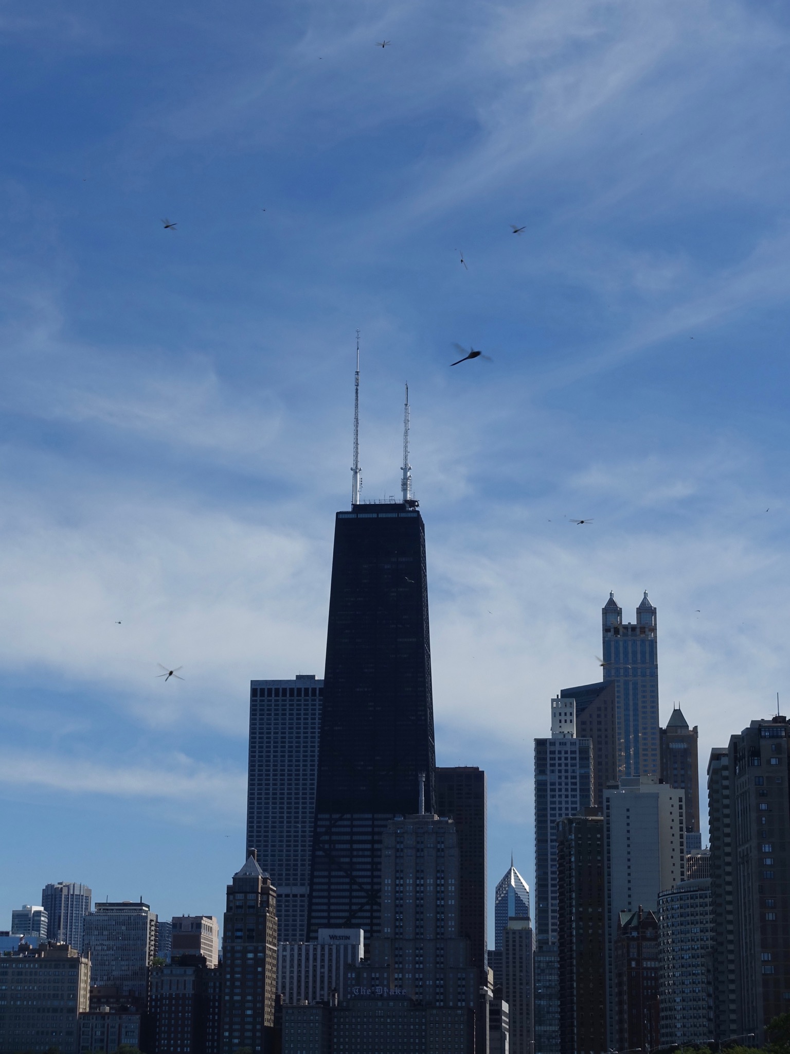 Photo 106 of 135 from the album Highlights Chicago 2015.