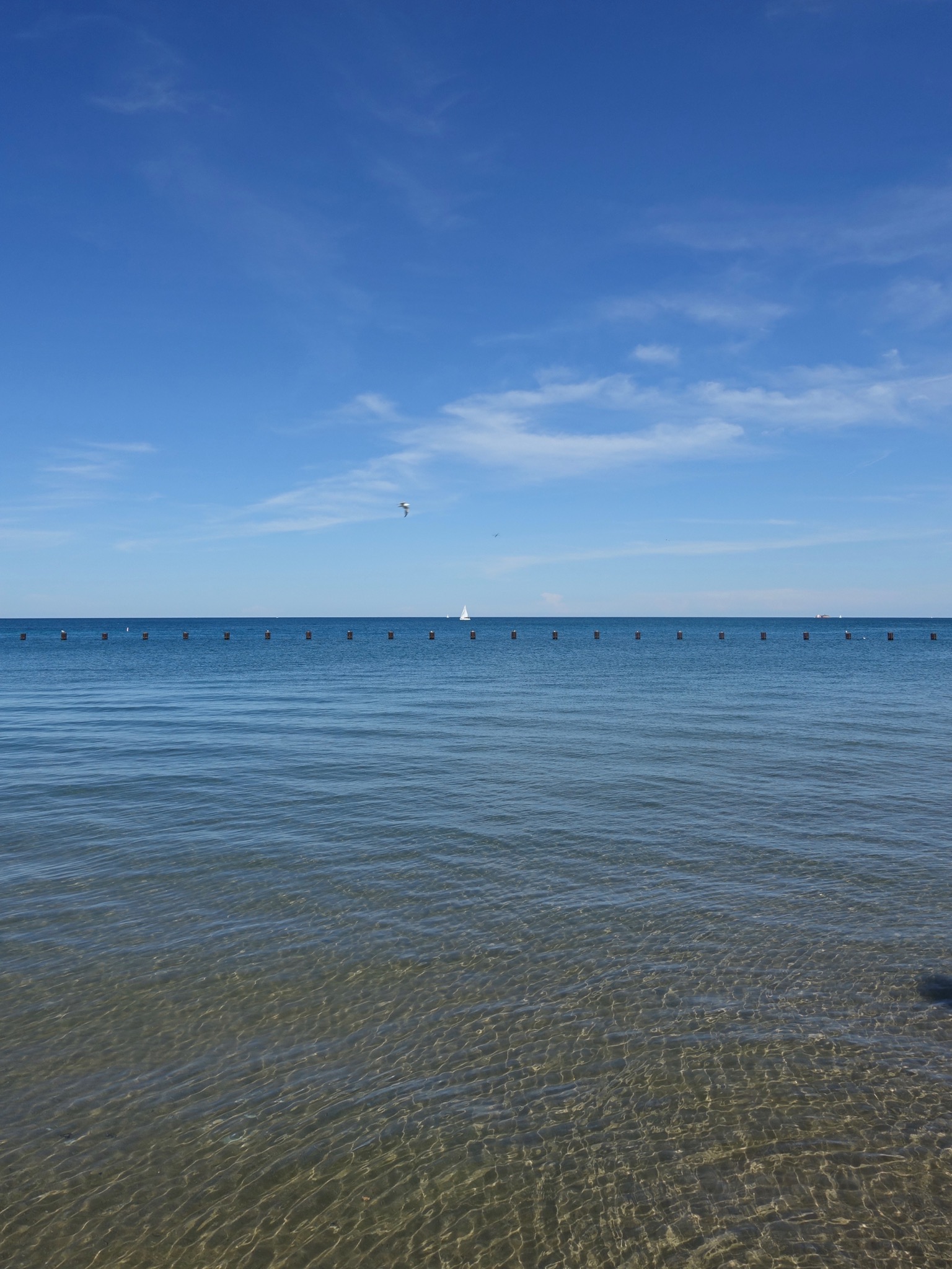 Photo 111 of 135 from the album Highlights Chicago 2015.