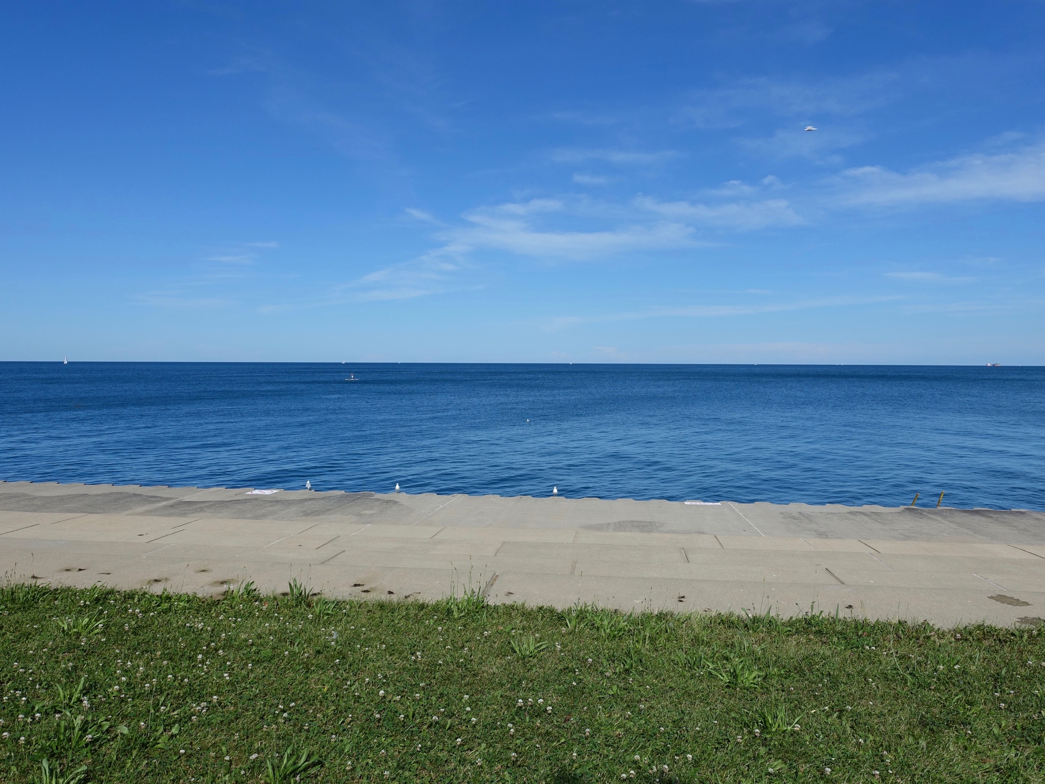 Photo 112 of 135 from the album Highlights Chicago 2015.