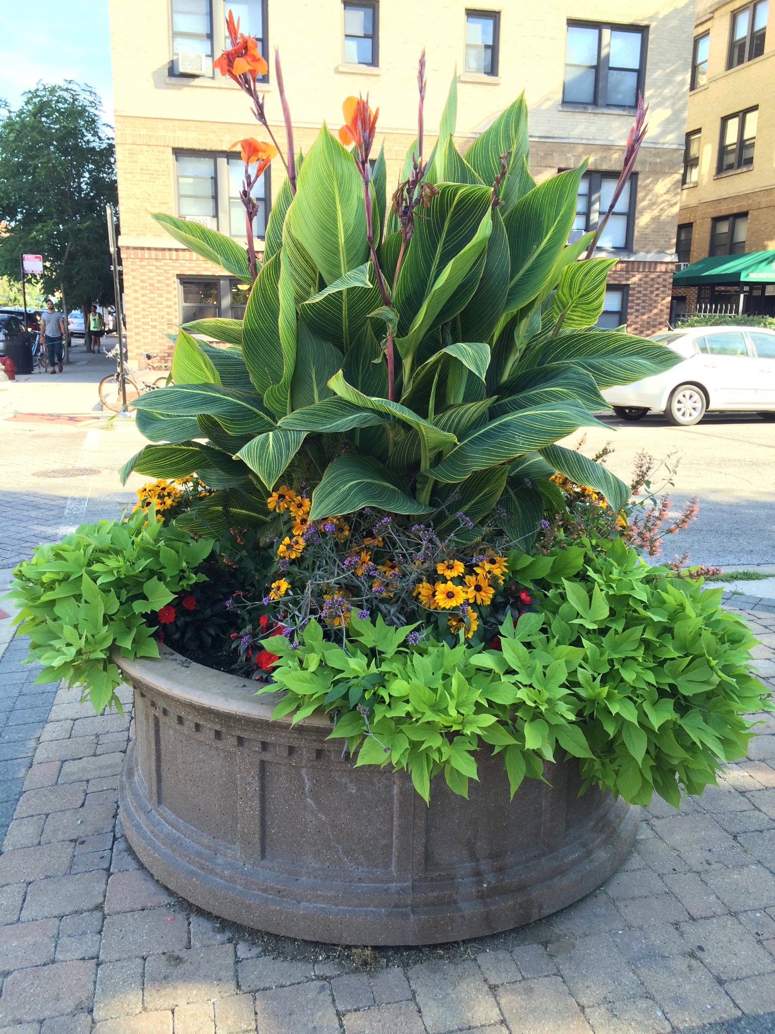 Photo 114 of 135 from the album Highlights Chicago 2015.