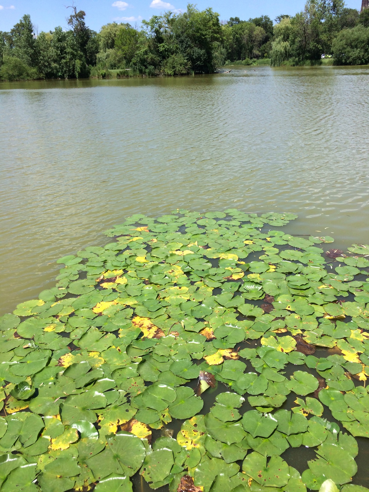 Photo 119 of 135 from the album Highlights Chicago 2015.