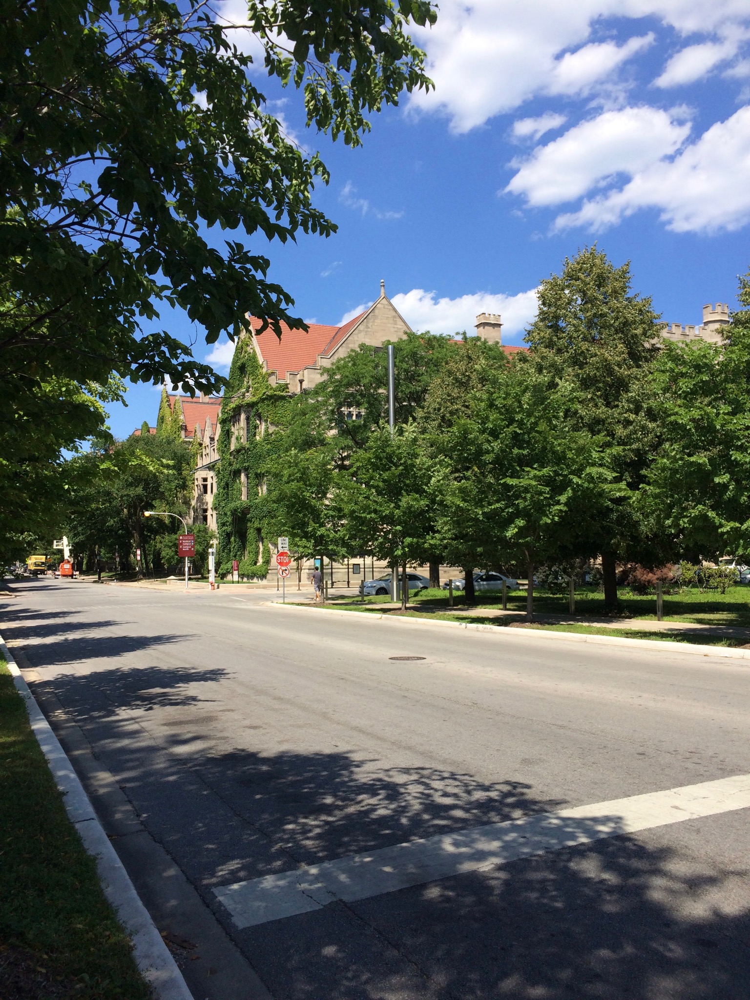 Photo 123 of 135 from the album Highlights Chicago 2015.