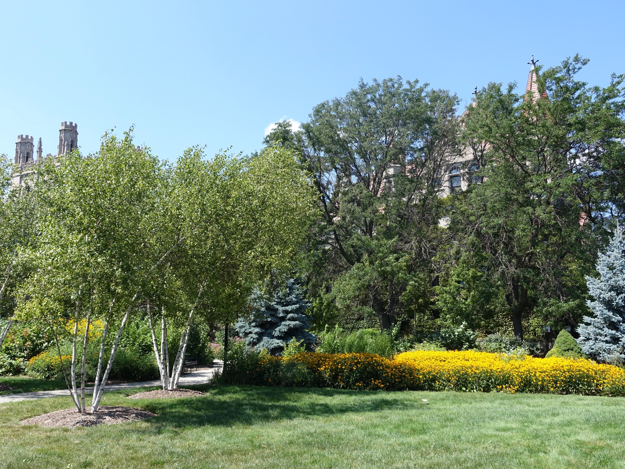 Photo 126 of 135 from the album Highlights Chicago 2015.