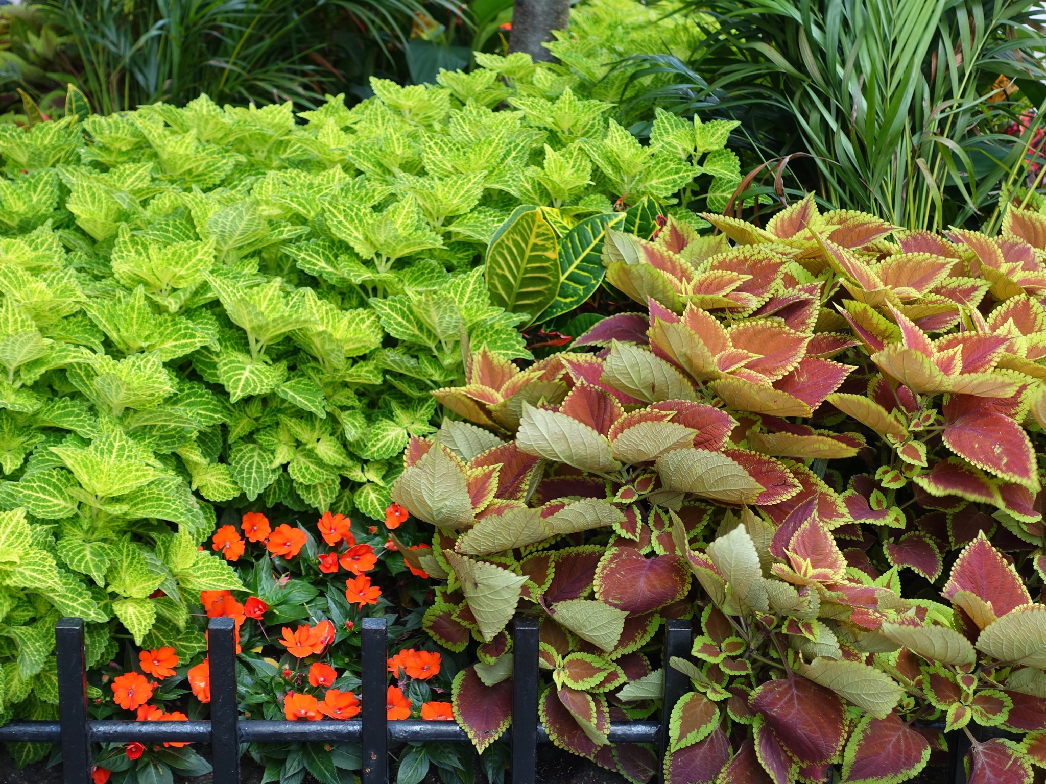 Photo 13 of 135 from the album Highlights Chicago 2015.