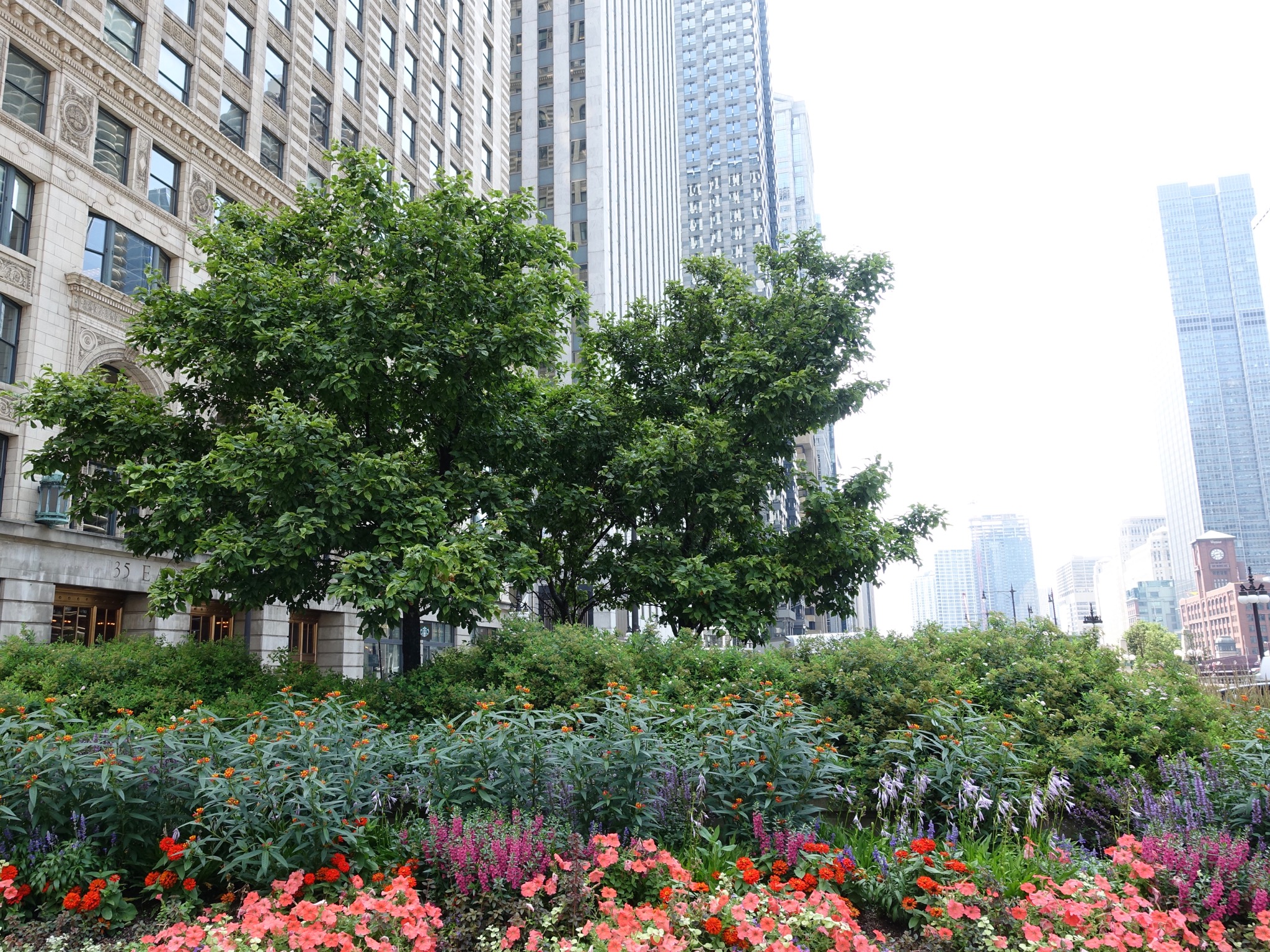 Photo 30 of 135 from the album Highlights Chicago 2015.