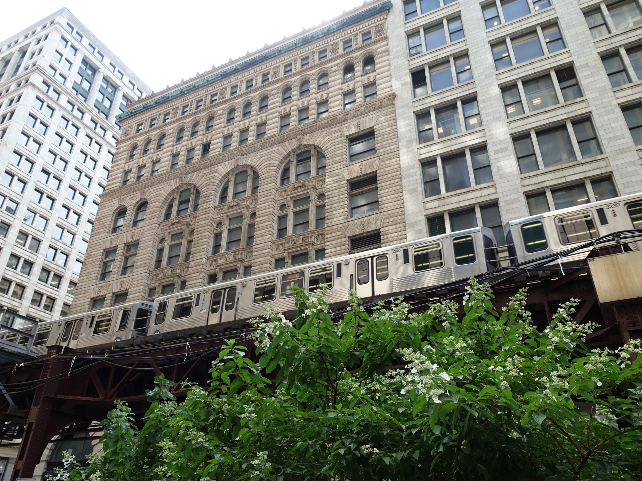 Photo 36 of 135 from the album Highlights Chicago 2015.