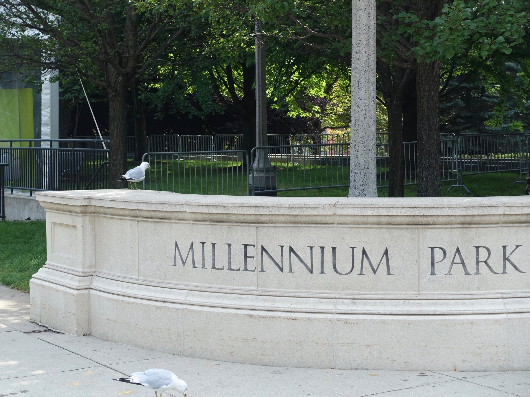 Photo 45 of 135 from the album Highlights Chicago 2015.